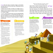 Living Lessons Haggadah Sample Pages