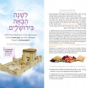 Living Lessons Chabad House Haggadah Sample Page